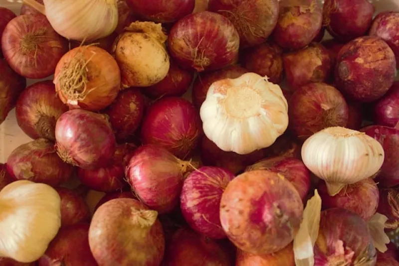 Dehydrated Onion and Garlic