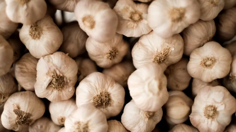 Dehydrated Garlic